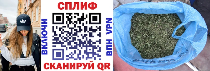 Каннабис сатива  Туринск 